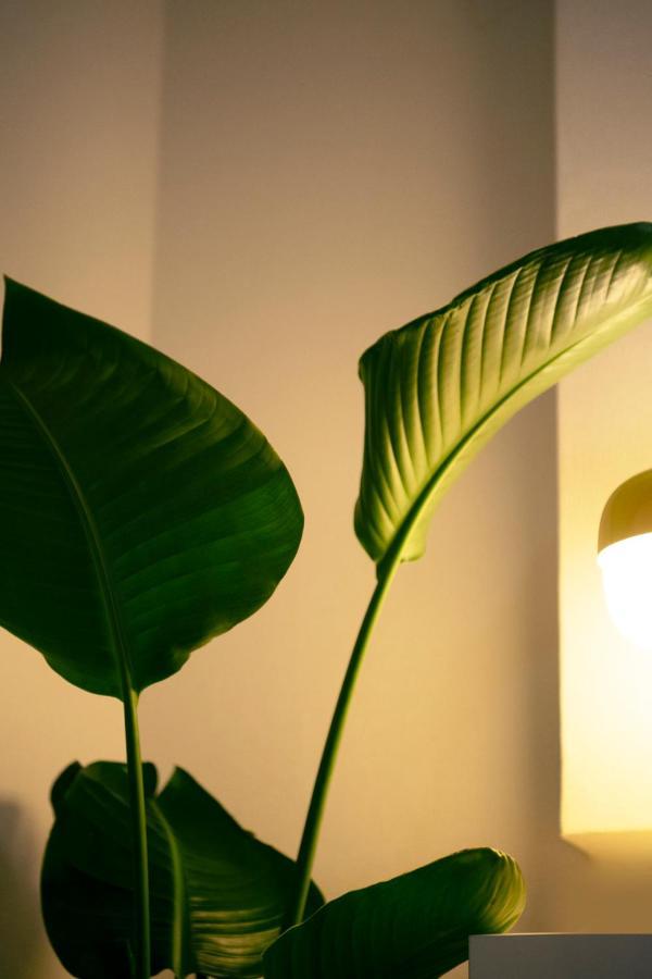 #9 3Mins To Station 1Stop To Shinjuku Stylish Apartment With Plenty Of Sunlight طوكيو المظهر الخارجي الصورة