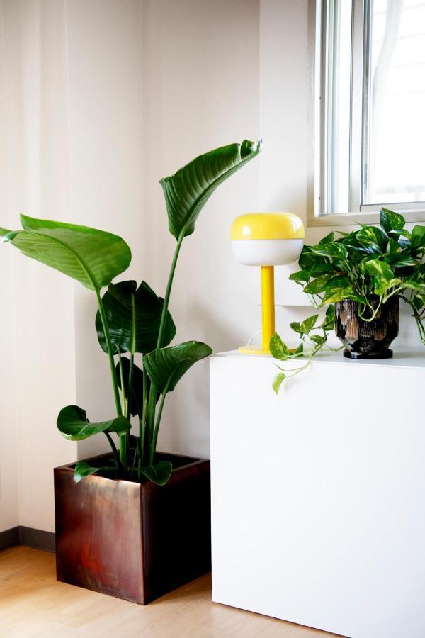 #9 3Mins To Station 1Stop To Shinjuku Stylish Apartment With Plenty Of Sunlight طوكيو المظهر الخارجي الصورة